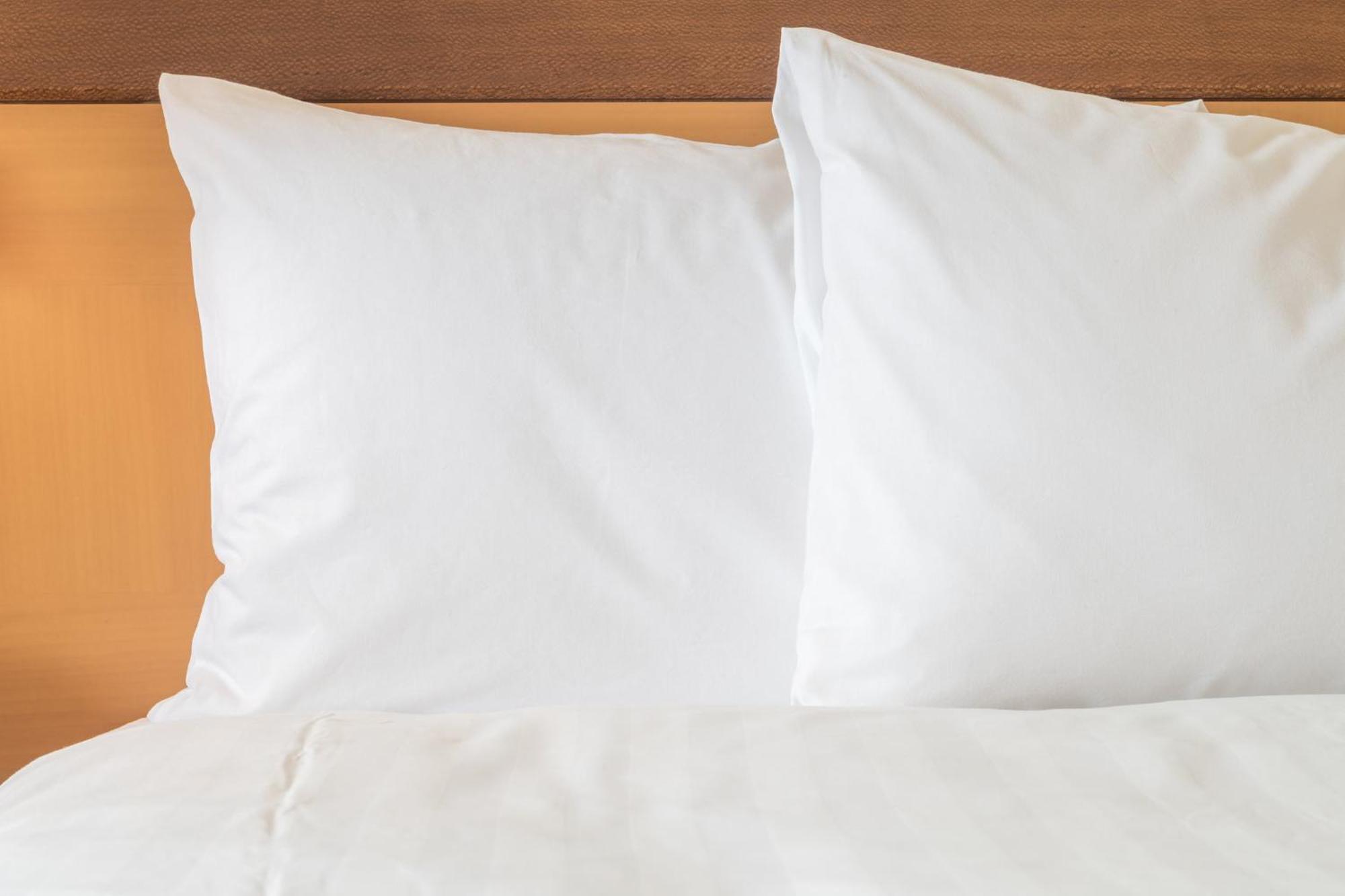 Holiday Inn Express Calgary South By Ihg Zewnętrze zdjęcie